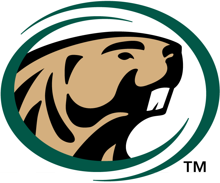 Bemidji State Beavers 2004-Pres Primary Logo iron on transfers for clothing